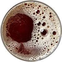 assets/uploads/sites/3/2017/05/beer_transparent_02.png